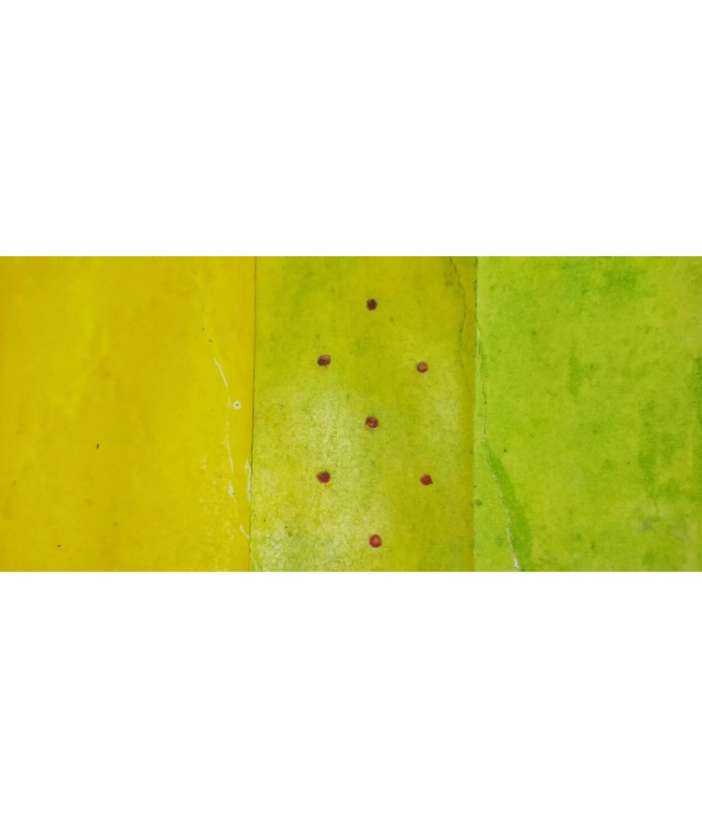 Brain colour: Green/Yellow/Green-Yellow/Red
