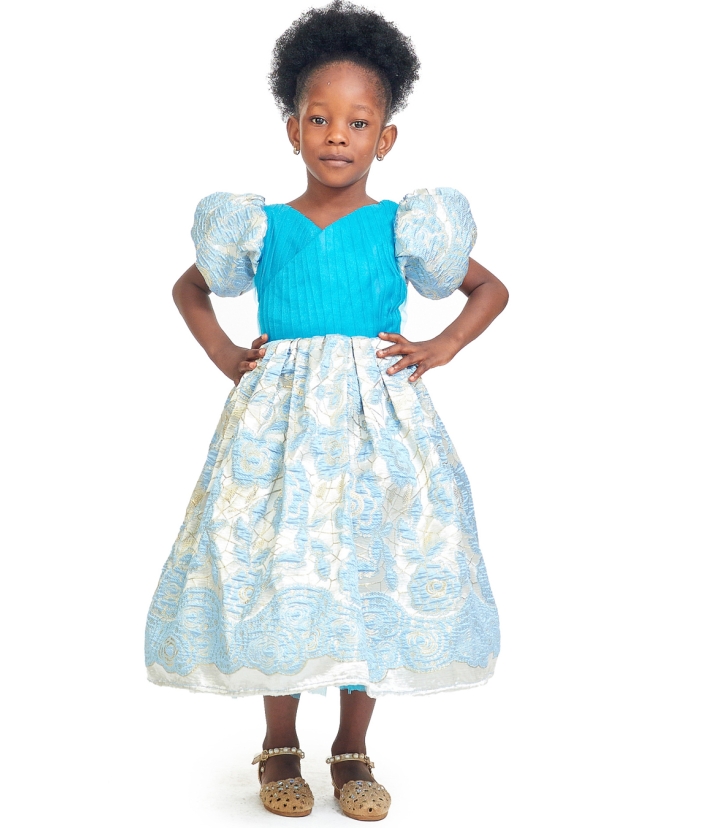 Bluey Dress